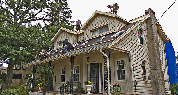 Best Flat Roof Repair Services  in Hutchinson Island South, FL